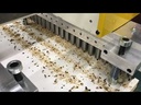youtube - [Video]
